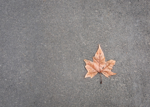 1031426 (a): :2048x1463
